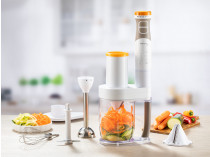 Delimano Joy Hand Blender Set Pro
