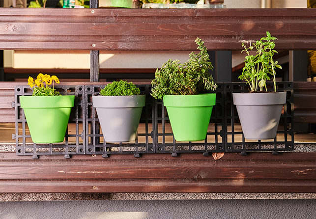 Grow Garden Wall